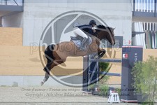 ref. photo 3513805