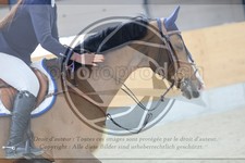 ref. photo 3513844