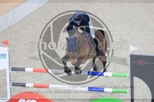 ref. photo 3513846