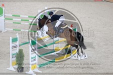 ref. photo 3513847
