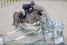 ref. photo 3513860