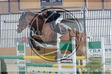 ref. photo 3513884