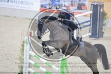 ref. photo 3513910