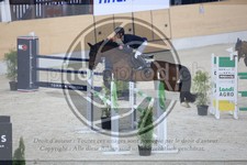 ref. photo 3513913