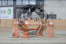 ref. photo 3513926