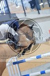 ref. photo 3513929