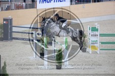 ref. photo 3513950