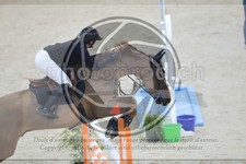 ref. photo 3513967