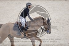 ref. photo 3513968