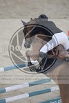 ref. photo 3513969