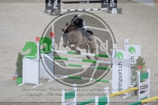 ref. photo 3513972
