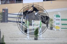 ref. photo 3513977