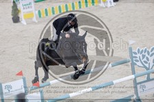 ref. photo 3513985