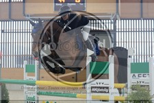 ref. photo 3513991