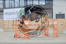 ref. photo 3513994
