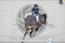 ref. photo 3513999