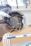 ref. photo 3514004