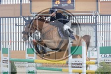 ref. photo 3514031