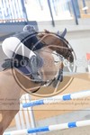 ref. photo 3514033