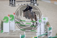ref. photo 3514096