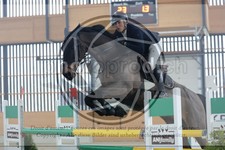 ref. photo 3514119
