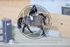 ref. photo 3514201