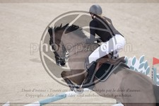 ref. photo 3514209