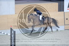 ref. photo 3514291