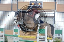 ref. photo 3514300