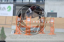 ref. photo 3514303