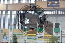 ref. photo 3514330