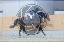 ref. photo 3514345