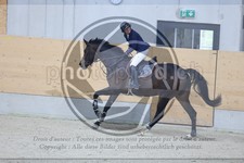 ref. photo 3514351