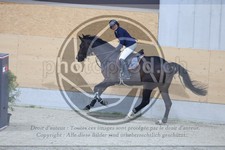 ref. photo 3514352