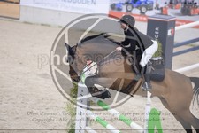 ref. photo 3514375