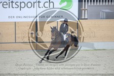 ref. photo 3514384
