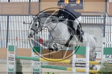 ref. photo 3514399