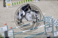 ref. photo 3514406