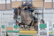ref. photo 3514414