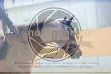ref. photo 3514419