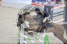ref. photo 3514422