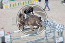ref. photo 3514423