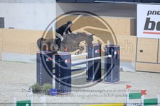 ref. photo 3514425
