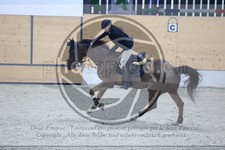 ref. photo 3514428