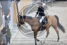 ref. photo 3514470