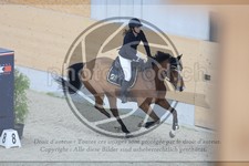 ref. photo 3514478