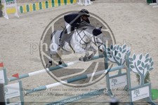 ref. photo 3514511