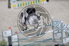 ref. photo 3514537