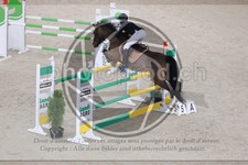 ref. photo 3514554