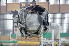 ref. photo 3514564